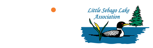 Syris Scientific and Little Sebago Lake Association